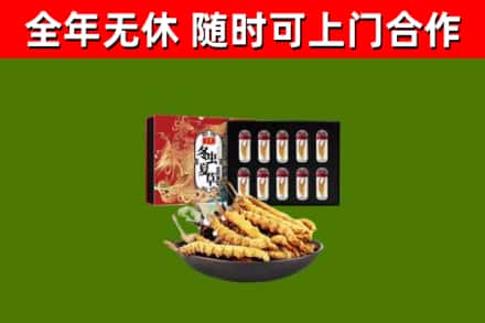 宜春回收冬虫夏草价格